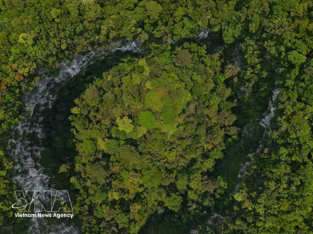 Deep sinkhole discovered in Phong Nha - Ke Bang National Park